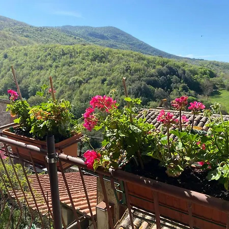 Casa Nonna Velia Vakantiehuis